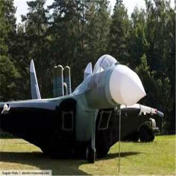 甘州充气模型飞机制造商家